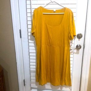 Knit Dress NWT